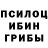 Псилоцибиновые грибы прущие грибы Fotima musurmonova