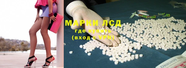 прущие грибы Балахна