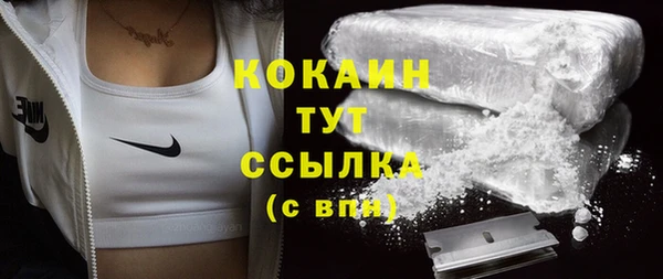 прущие грибы Балахна