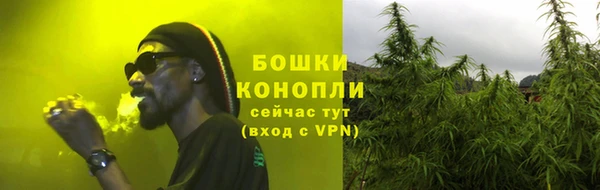 прущие грибы Балахна