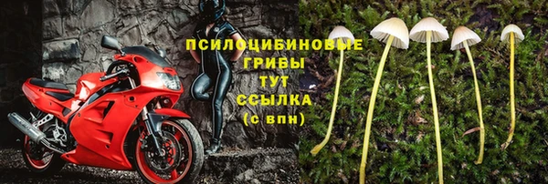 прущие крисы Балабаново