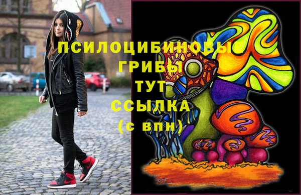 прущие грибы Балахна