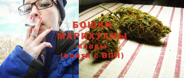 прущие грибы Балахна