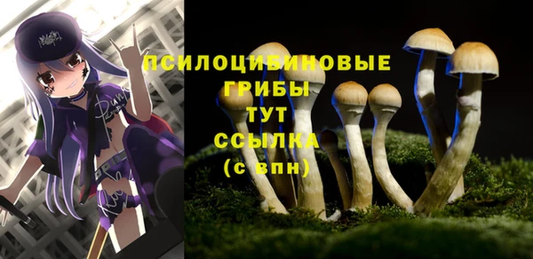 прущие крисы Балабаново