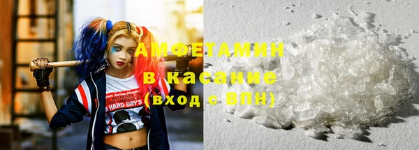 прущие грибы Балахна