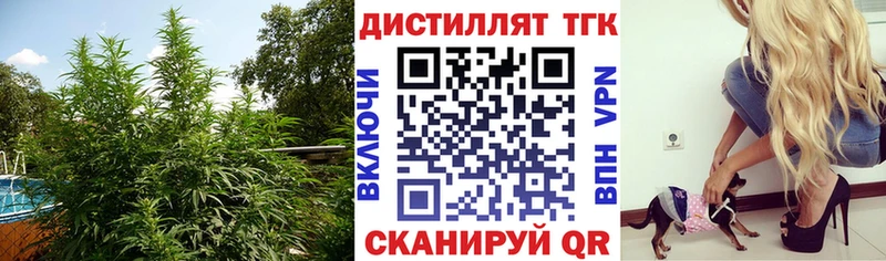 ТГК концентрат Сосновка