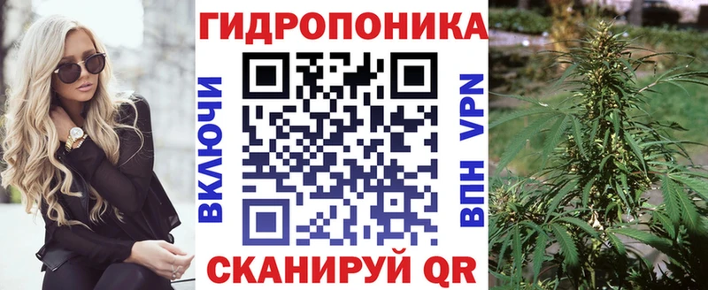 кракен как зайти  Сосновка  Шишки марихуана сатива 